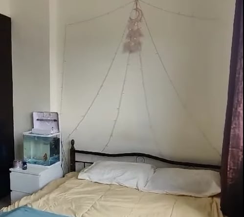 image_property